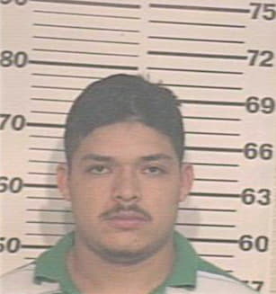 Gonzalez Erick - Hidalgo County, TX 