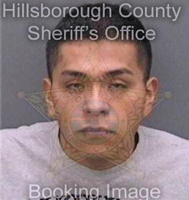 Flores Jhonatan - Hillsborough County, FL 