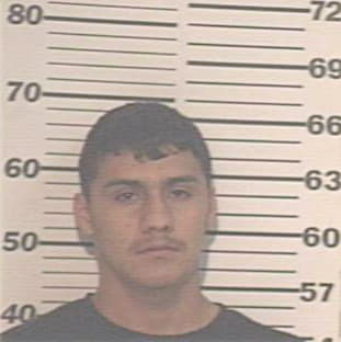 Silva Justin - Hidalgo County, TX 