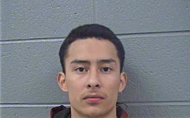 Hernandez Carlos - Cook County, IL 