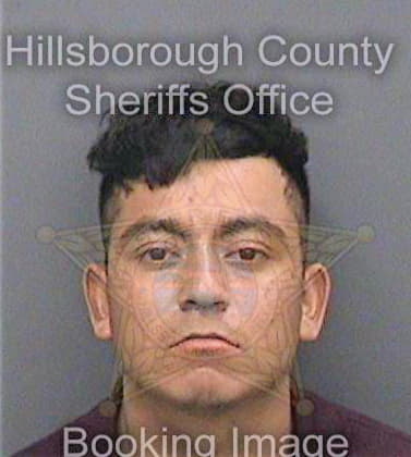 Cruzortiz Hernan - Hillsborough County, FL 