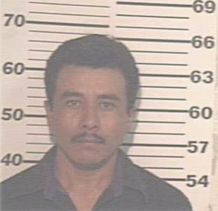 Hernandez Rogelio - Hidalgo County, TX 