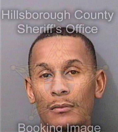 Stokes Michael - Hillsborough County, FL 