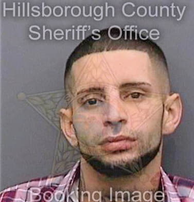Boffil Nicolas - Hillsborough County, FL 