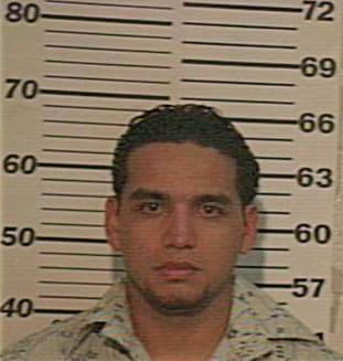 Garcia Roel - Hidalgo County, TX 