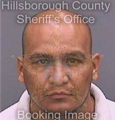 Villagomez Benjamin - Hillsborough County, FL 