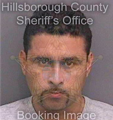Mejialinares Jose - Hillsborough County, FL 