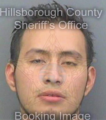 Lopezmartinez Bulmaro - Hillsborough County, FL 