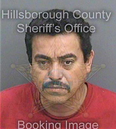 Guerrero Jose - Hillsborough County, FL 