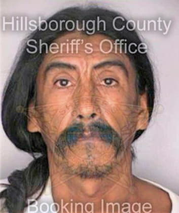 Sanchez Juan - Hillsborough County, FL 