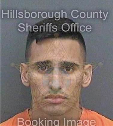 Hernandez Jorge - Hillsborough County, FL 