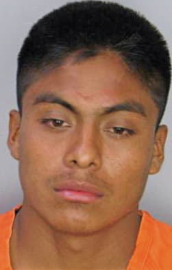 Bautista Luis - Hillsborough County, FL 