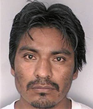 Mendoza Juan - Hillsborough County, FL 