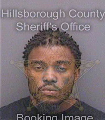 Baldwin Zantwann - Hillsborough County, FL 