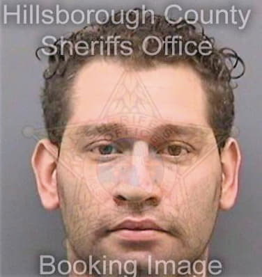 Vicente Alexis - Hillsborough County, FL 