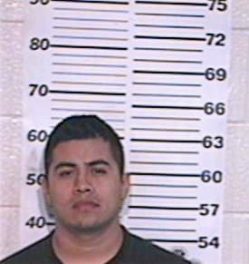 Delgado Carlos - Hidalgo County, TX 