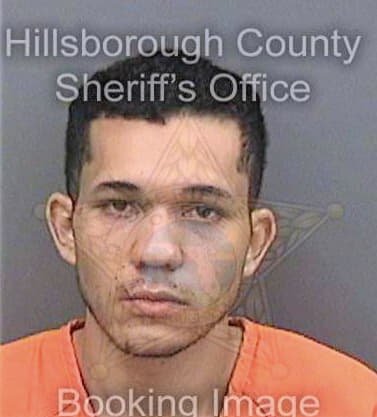 Ortiz Isaac - Hillsborough County, FL 