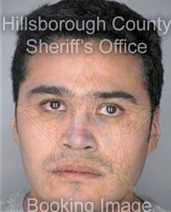 Villegas Severino - Hillsborough County, FL 