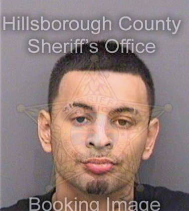 Seanz Victor - Hillsborough County, FL 