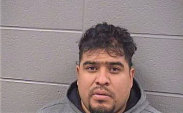 Gonzales Leonel - Cook County, IL 