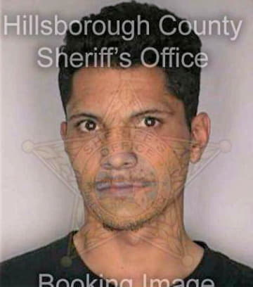 Phillipus Wayne - Hillsborough County, FL 