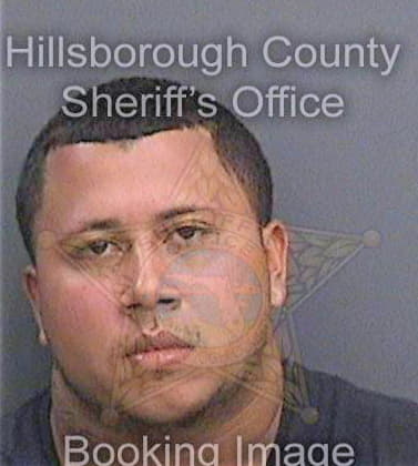 Melecio Melvin - Hillsborough County, FL 