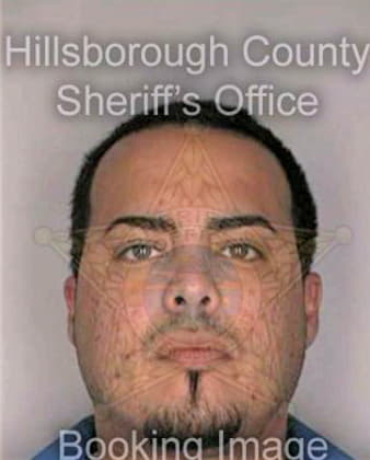 Diaz Yovanis - Hillsborough County, FL 