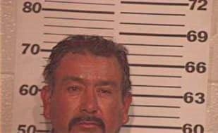 Arrellano Adolfo - Hidalgo County, TX 