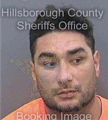 Medina Amilcar - Hillsborough County, FL 