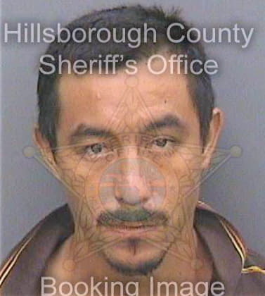 Villicanajuarez Fredy - Hillsborough County, FL 