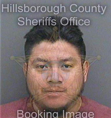 Lopezjimenez Pascual - Hillsborough County, FL 