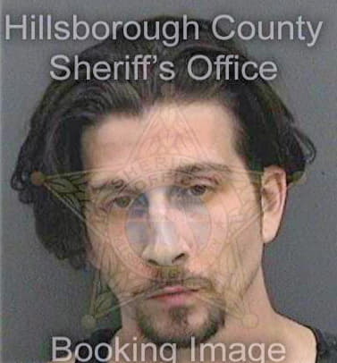 Zimmerman Scott - Hillsborough County, FL 