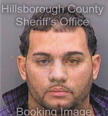 Lopez Jesus - Hillsborough County, FL 