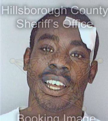 Smith Darrian - Hillsborough County, FL 