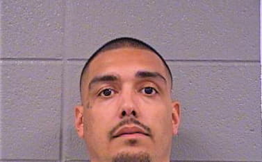 Eldefonso David - Cook County, IL 