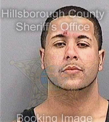 Perez Robert - Hillsborough County, FL 