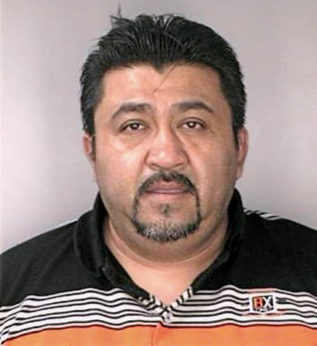 Menezsotelo Miguel - Hillsborough County, FL 