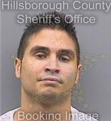 Fuentes Omar - Hillsborough County, FL 