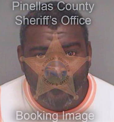 Johnson Rodney - Pinellas County, FL 