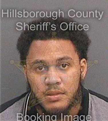 Tillett Michael - Hillsborough County, FL 