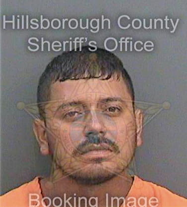 Borjaescobar Yunier - Hillsborough County, FL 