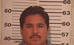 Mejia Alejo - Hidalgo County, TX 