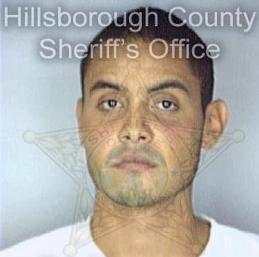 Cortes Hector - Hillsborough County, FL 