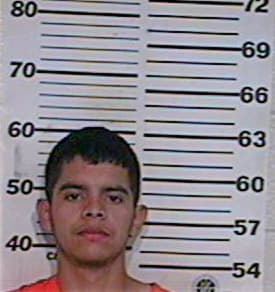 Garay Pedro - Hidalgo County, TX 