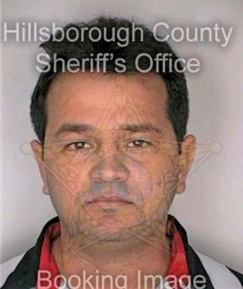 Hernandezortaga Fredy - Hillsborough County, FL 