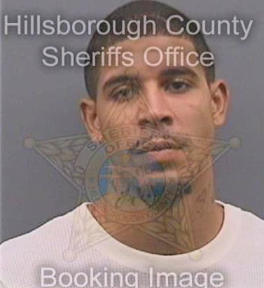 Simon Deandre - Hillsborough County, FL 