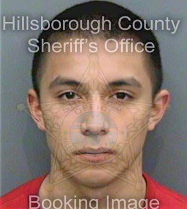 Santos Robert - Hillsborough County, FL 