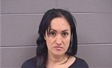 Torres-Oceguera Silva - Cook County, IL 