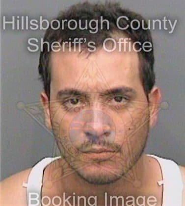 Torres Carlos - Hillsborough County, FL 