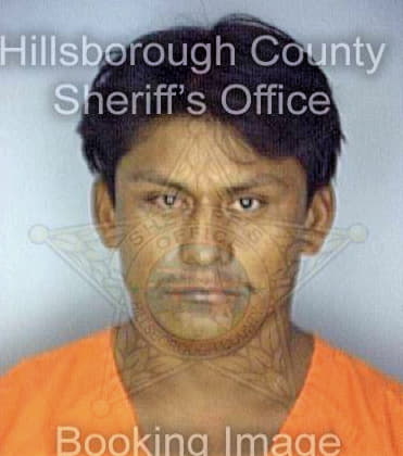 Perezgomez Sergio - Hillsborough County, FL 